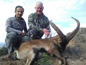 ibex hunting in Spain