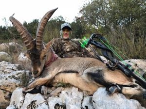 ibex bow hunting in spain
