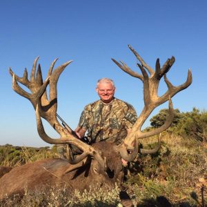 iberian red deer