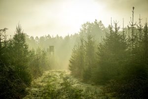 hunting resolutions