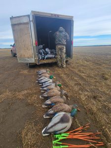 crane hunting