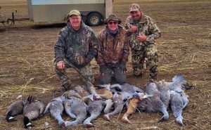 crane hunting