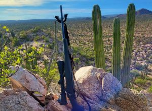 270 Winchester
