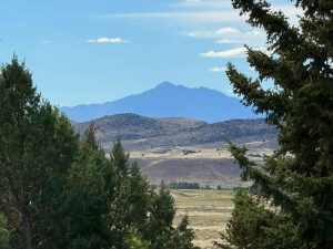 wyoming hunting