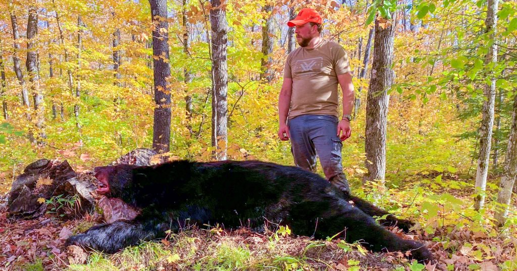 Hunting Michigan Black Bear
