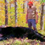 Hunting Michigan Black Bear