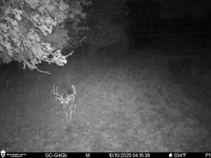 Whitetail Night 2026